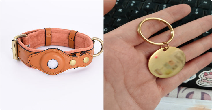 GPS Pet Collar: Track Your Dog, Prevent Loss