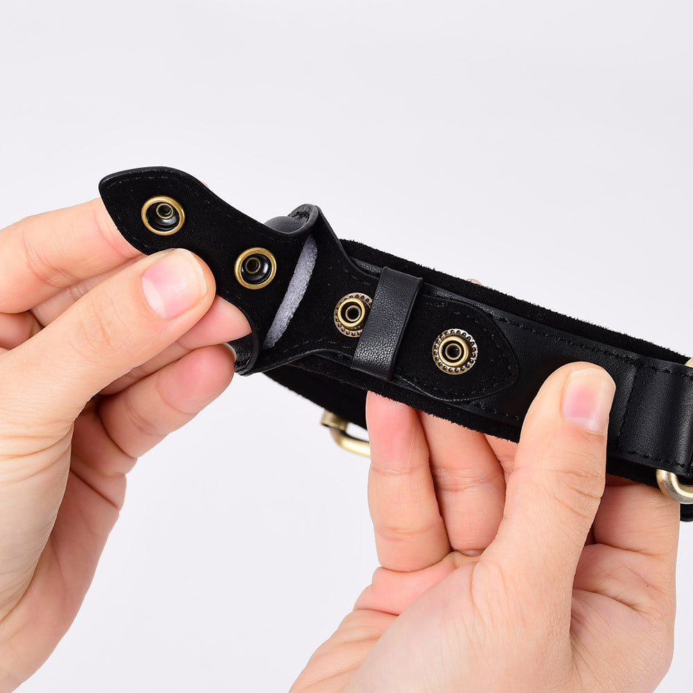 GPS Pet Collar: Track Your Dog, Prevent Loss
